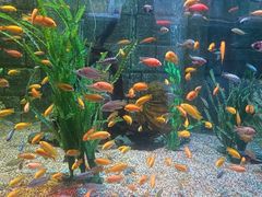 -正佳极地海洋世界