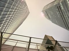 -莫尔顿牛排坊(浦东ifc店)