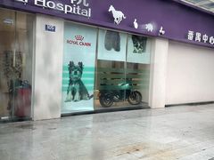 -立德动物医院·24小时中心(番禺区院区)