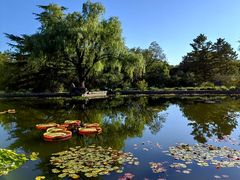 -国家植物园南园