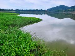 -艾米稻香小镇