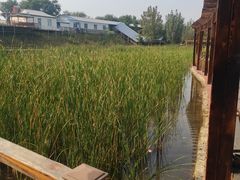 -北京鹿世界主题园