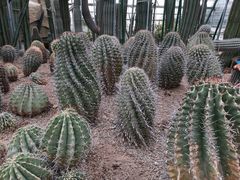 -南山植物园