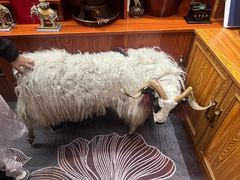 -吉祥圣雪藏餐