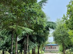 -盛唐庄园