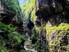 -鹿院坪生态旅游景区