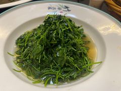 -大金山酒店