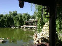 -石家庄市植物园