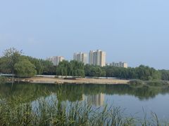 -大兴滨河森林公园