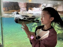 -长鹿旅游休博园