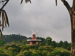 -东莞植物园