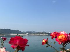 -望湖烤鱼