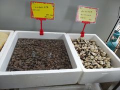 -蚝专家(北滘店)