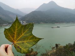 -羚羊峡古栈道森林公园