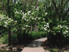 -上海共青森林公园