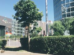 门面-新荟城(望京店)