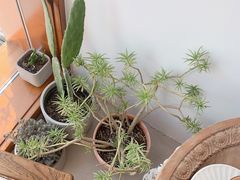 -AHAVA·Fang Baking Studio