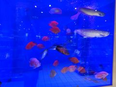 -大润发(南湖店)