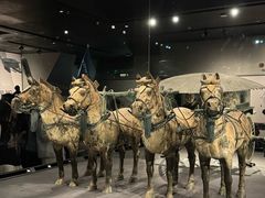 -秦始皇帝陵博物院-丽山园