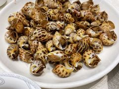 花螺-启东海鲜人家(古美路店)