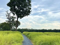 -汉长安城未央宫国家考古遗址公园