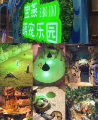 -宝燕乐园(闵行旗舰店)