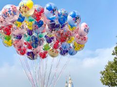 -上海迪士尼度假区