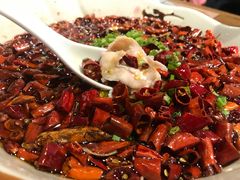 -猫头婴小酒馆FUN OWL(1912店)
