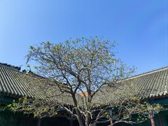 -张学良旧居陈列馆
