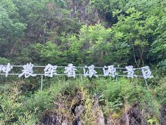 -神农架香溪源景区