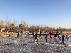 -绿堤公园
