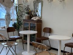 -共舞时光猫咖·狗咖(新街口店)