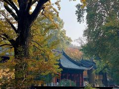 -灵谷景区