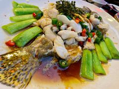 -猪肉婆私房菜(容桂总店)