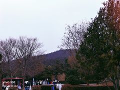 -秦始皇帝陵博物院-丽山园
