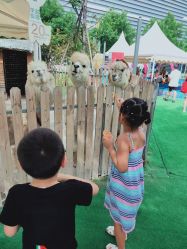 -萌宠亲子动物乐园(槐房万达店)