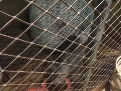 -有才叔的小馆(招商依云曲江店)