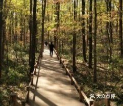 吊水壶国家森林公园图片