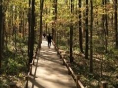 -吊水壶国家森林公园