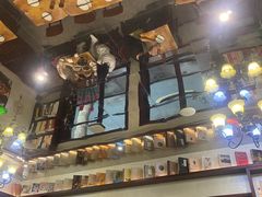 -付小姐在成都(中山公园店)
