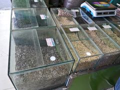 -刘艳明炒货(小心桥店)