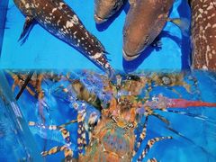 -四川小胡子海鲜(丁村万人海鲜广场店)