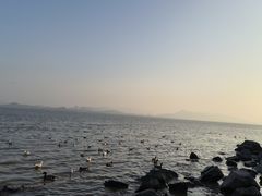 -深圳湾公园(南山区)