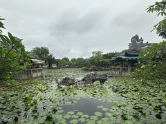 -粤晖园