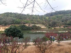 -南国桃园旅游度假区