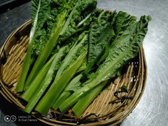 -马帮寨院坝火锅(龙港公园店)