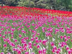 -迎泽公园