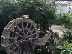 -兰陵国家农业公园