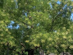 -香山公园-东宫门售票处