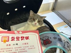 -瑞派宠物医院·内科·软组织·绝育中心(沈阳八纬路分院)